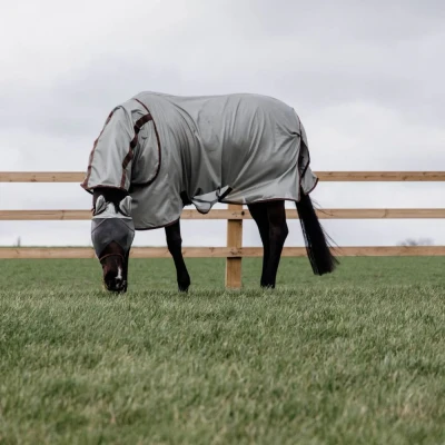 Image of Kentucky Mesh Fly Rug Classic
