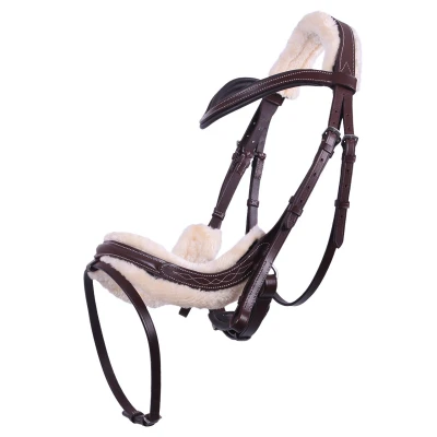 Image of QHP Bridle Ontario