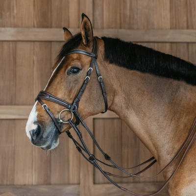 Image of Dy&#039;on Working Collection Motion Bridle Brown / Full Size Bridles Horse &amp; Equestrian