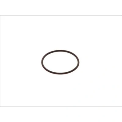 Image of Rubber Ring BOSCH F 00H N35 933