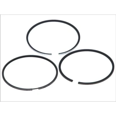 Image of Piston Ring Kit KOLBENSCHMIDT 800044010000