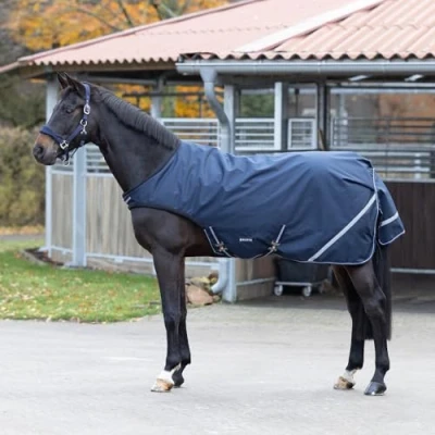 Image of Busse walker rug Rain Comfort 50