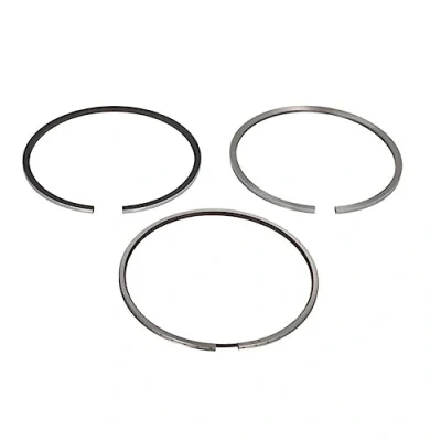 Image of Piston Ring Kit KOLBENSCHMIDT 800072810000