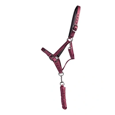 Image of QHP Halter Set Lily
