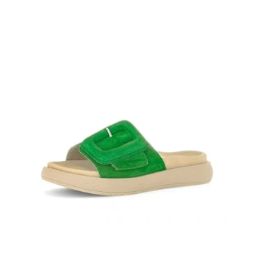 Image of Gabor Slippers, Women&#039;s, Size: 6, Verde Suede