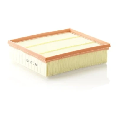 Image of Air FILTER MANN C 25 122