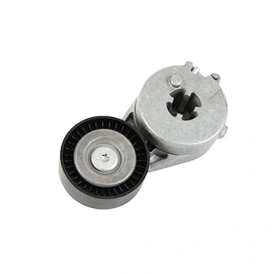 Image of Tensioner Lever, v ribbed belt INA 534 0333 10