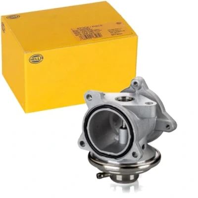 Image of EGR Valve HELLA 6NU 010 171 891