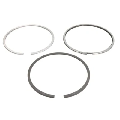 Image of Piston Ring Kit KOLBENSCHMIDT 800111210000