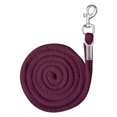 Image of Waldhausen Leadrope with Karabiner