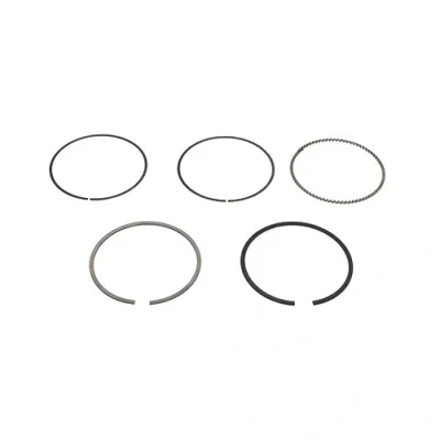 Image of Piston Ring Kit KOLBENSCHMIDT 800116710050