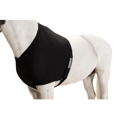 Image of Eskadron chest protector Dynairmesh