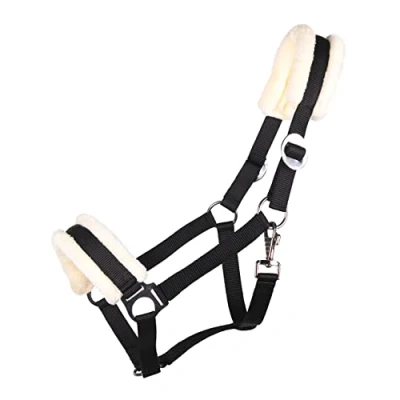 Image of QHP Halter Cali