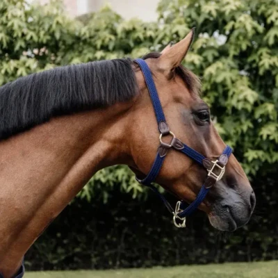 Image of Kentucky Horsewear Plaited Nylon Headcollar Navy Cob Size Horse Halter Riding Equestrian
