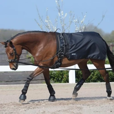 Image of Busse Lunging Rug Rain 50