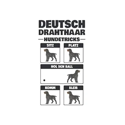 Image of Deutsch Drahthaar Notizbuch: Hundetricks Jagdhund Hund / 6x9 Zoll 120 gepunktete Seiten