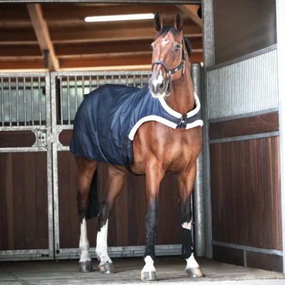 Image of Busse Walker rug Trainer 50