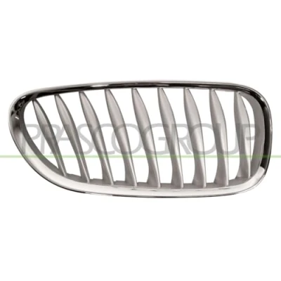 Image of Radiator Grille BLIC 6502 07 0089994P