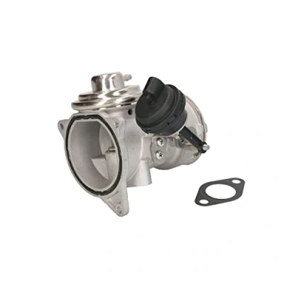 Image of EGR Valve MAGNETI MARELLI 571822112150