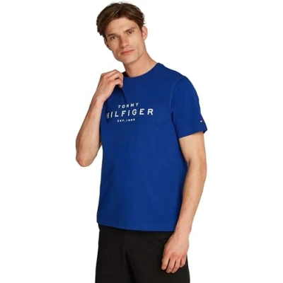 Image of Tommy Hilfiger BIG TEE Print Tshirt, Men&#039;s, Size: XS, Wedge blue