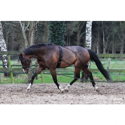 Image of Horka Pessoa Lunging Aid