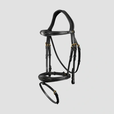 Image of Dyon Anatomic Flash Noseband Bridle D Collection