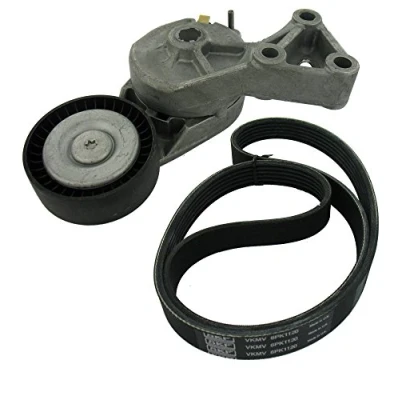 Image of V Ribbed Belt Set SKF VKMA 31008
