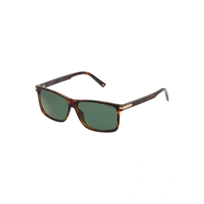 Image of Polaroid Sunglasses, Size: One Size, Dkhavana