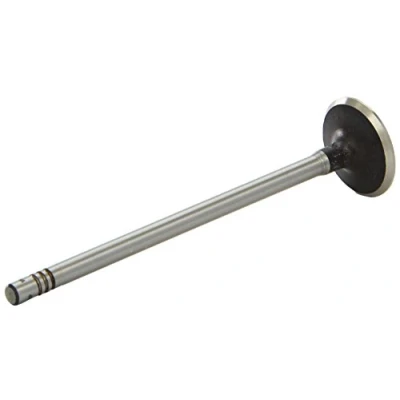 Image of Intake Valve AE V94705