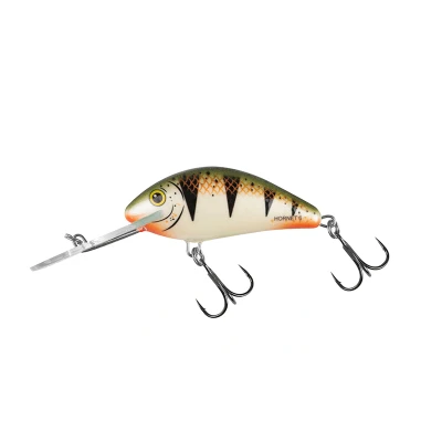 Image of Salmo Hornet 6cm 10g Floating 2,0 5,6m Nordic Perch Hard lure