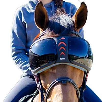 Image of eQuick eVysor