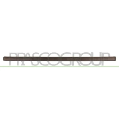Image of Trim/Protection Strip, door PRASCO OP3501403