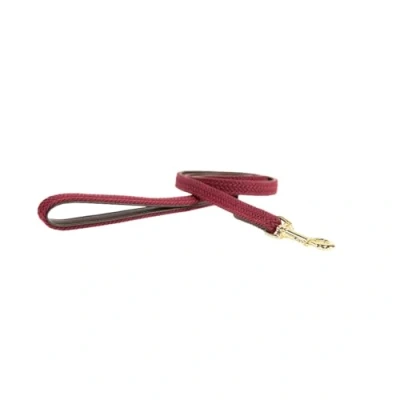 Image of Kentucky Dog Lead Plaited Nylon