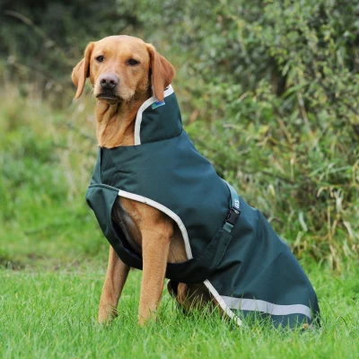 Image of Bucas Greenline Dog Blanket