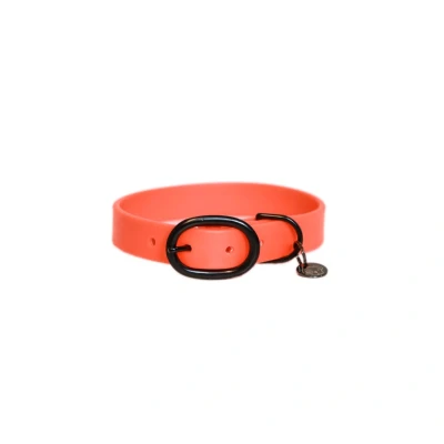 Image of Kentucky Horsewear Dog Collar Soft Rubber Orange XS Horse Riding Equestrian