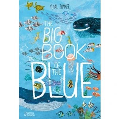 Image of the Big Book of Blue: Yuval Zommer: 0
