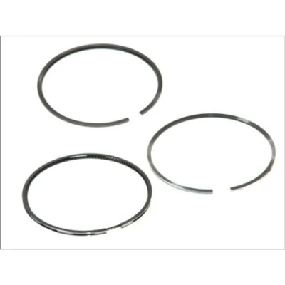 Image of Piston Ring Kit KOLBENSCHMIDT 800019212050