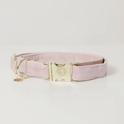 Image of Kentucky Dog Collar Velvet