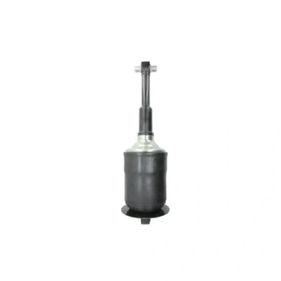 Image of Shock Absorber SACHS 317 325