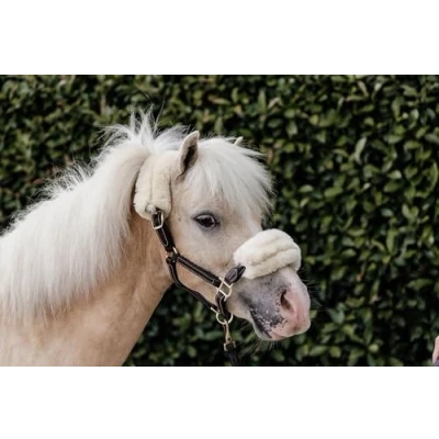 Image of Kentucky Leather Halter Sheepskin