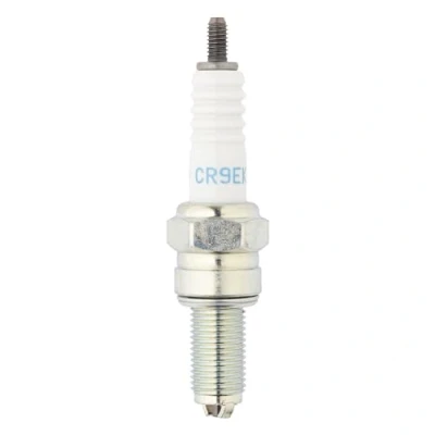 Image of Spark Plug NGK 4548