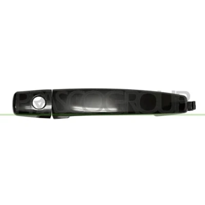 Image of Exterior Door Handle PRASCO DW7208004