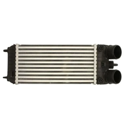 Image of Charge Air Cooler THERMOTEC DAP007TT
