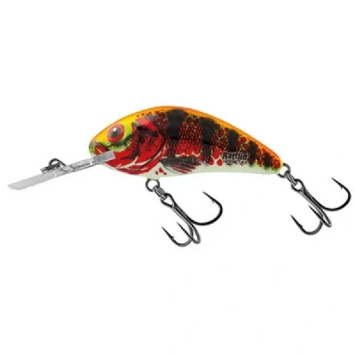 Image of Salmo Rattlin Hornet 3,5 cm Holo Red Perch Hard lure