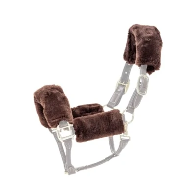 Image of Kentucky Halter Furs
