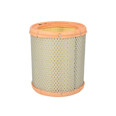 Image of Air FILTER MANN C 1460