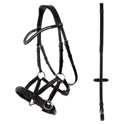 Image of BR Bridle Lewes side &amp; pull
