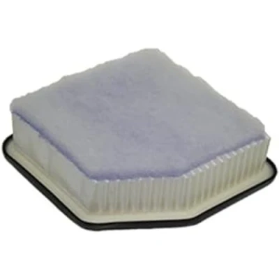 Image of Air Filter PURFLUX A1305