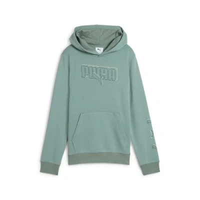 Image of PUMA Boy&#039;s Ess Logo Lab Execution Hoodie Tr B Hoodies (pack of 1)