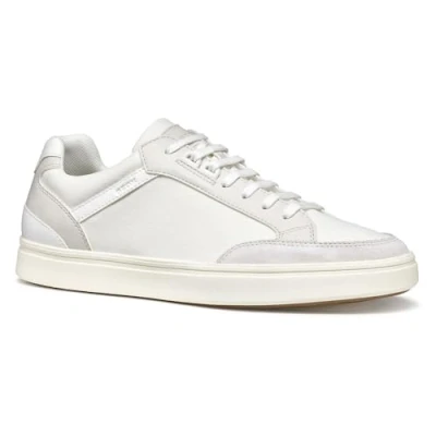 Image of Geox Baltmoore Trainers, Men&#039;s, Size: 6.5, White/off white Leather and textile